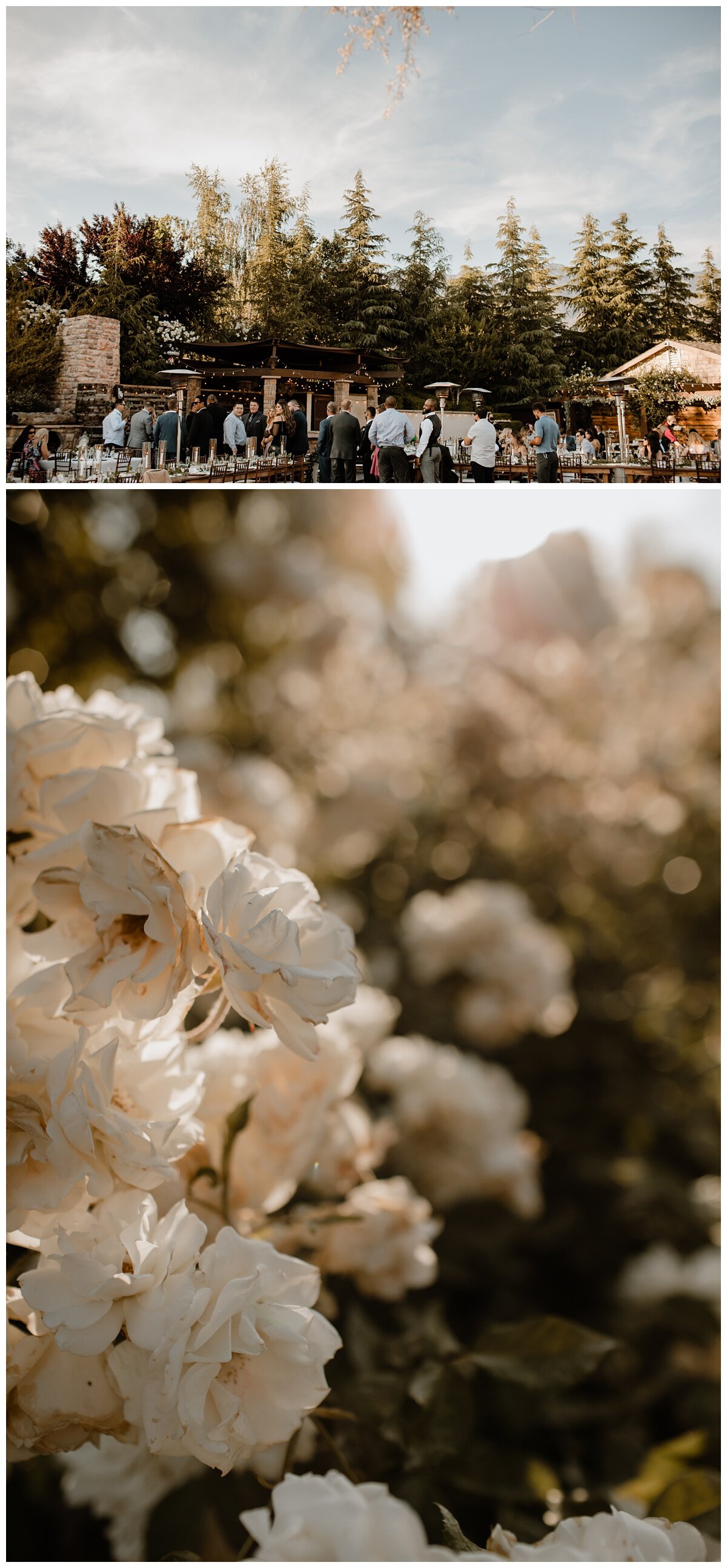 Serendipity Garden Weddings - Oak Glen, CA - Eve Rox Photography-138_WEB.jpg