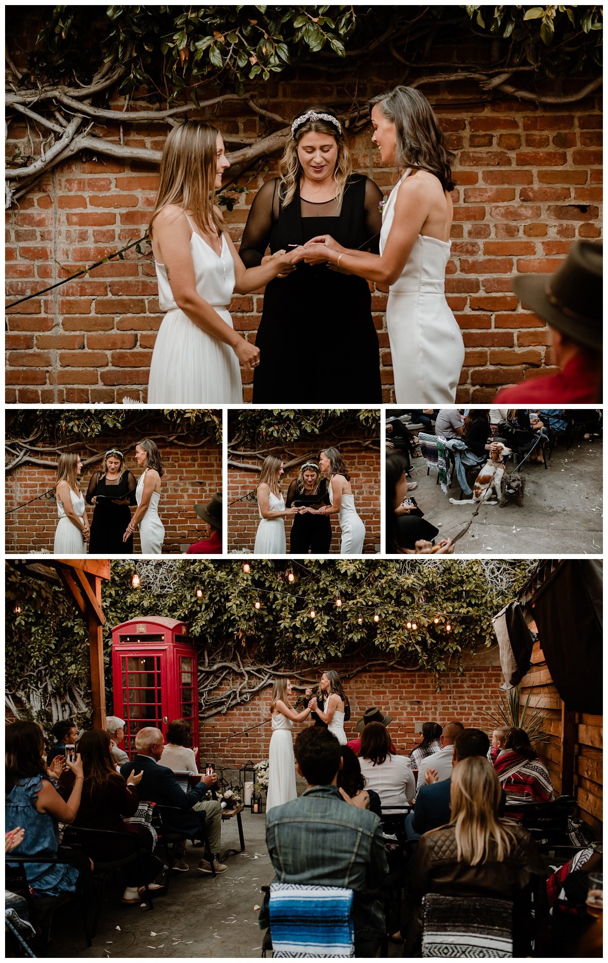 Michelle and Trish Intimate Wedding in Long Beach, CA - Eve Rox Photography-292_WEB.jpg