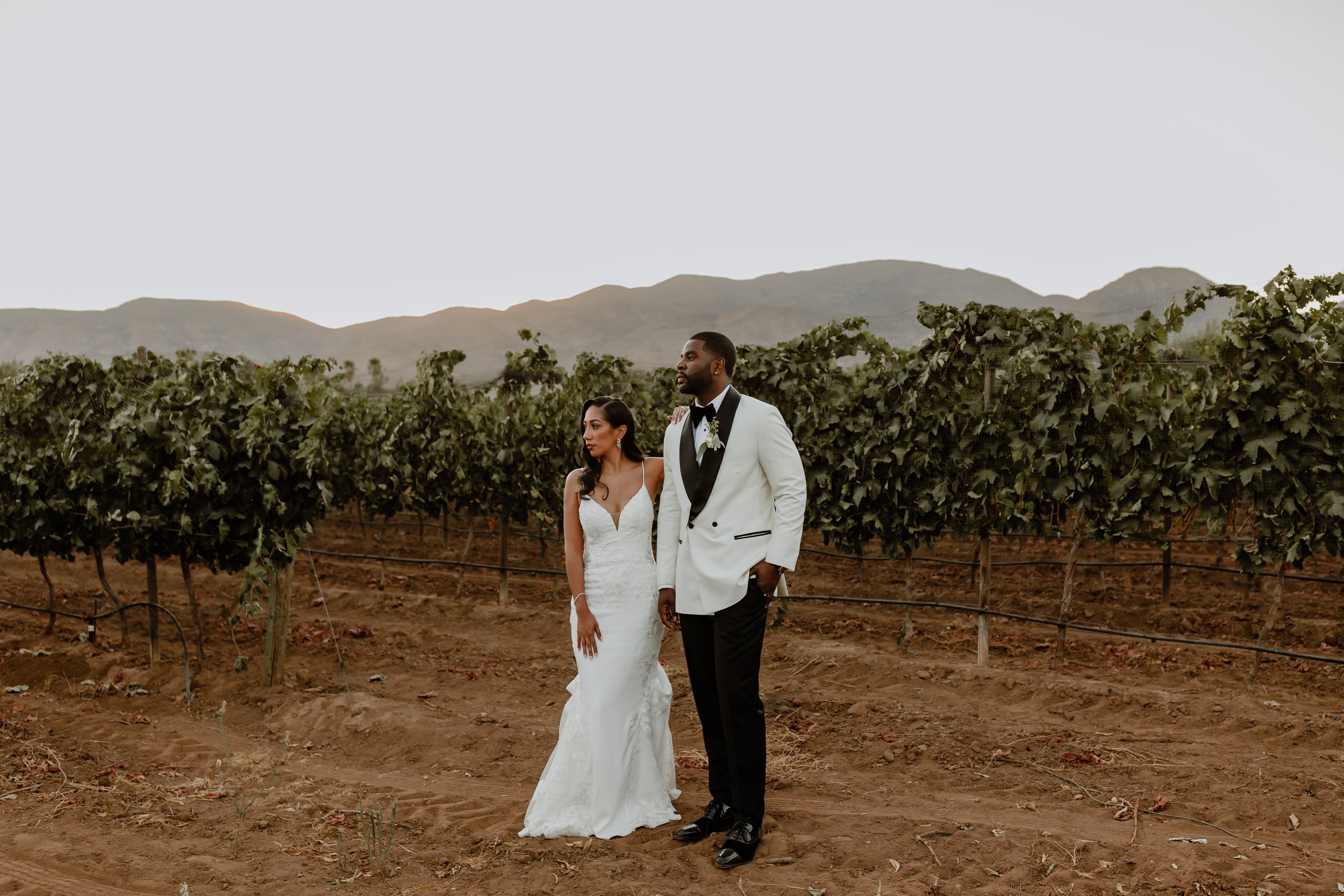  Krystina and Ryan's Wedding in Valle de Guadalupe, Baja, MX - Eve Rox Photography 