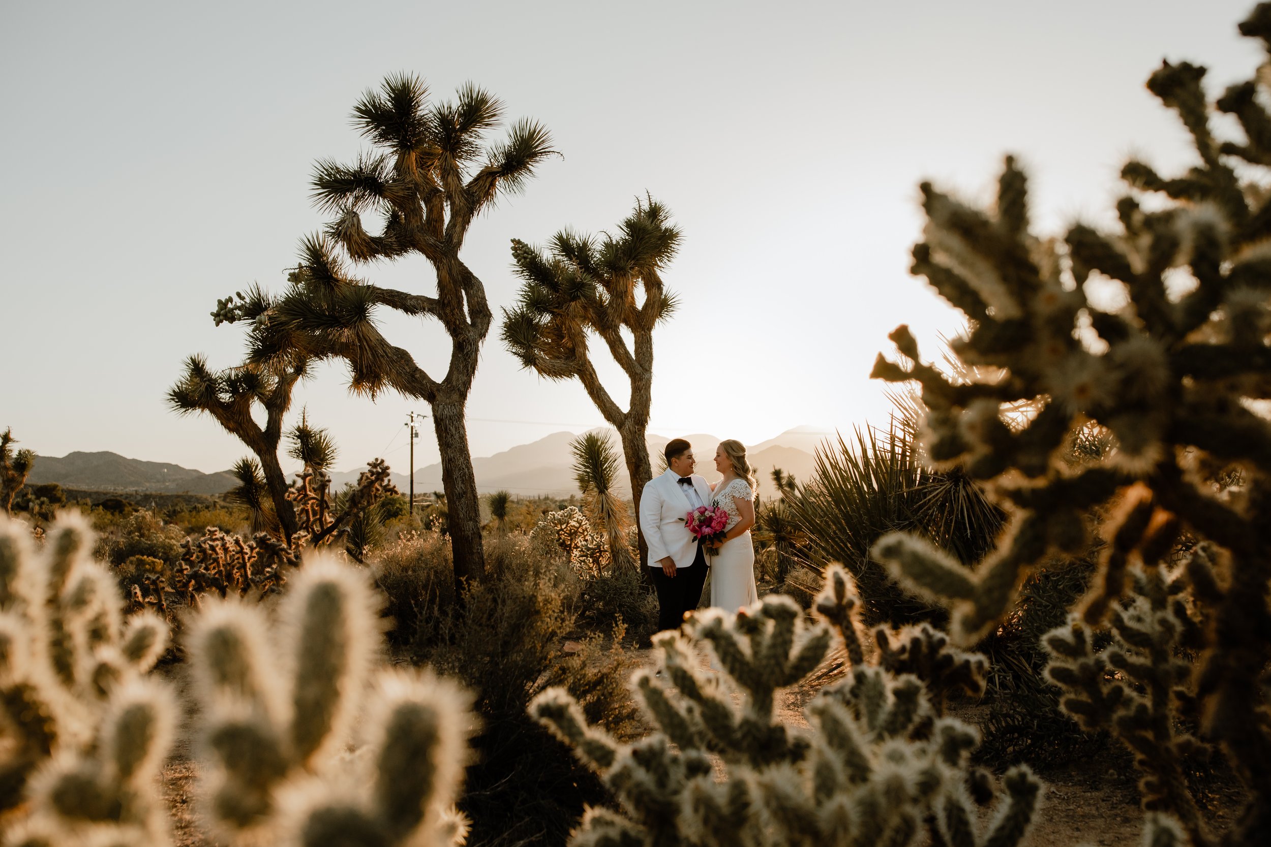  Allie and Ellie's Wedding at Tumbleweed Sanctuary Yucca Valley, CA - Eve Rox Photography 