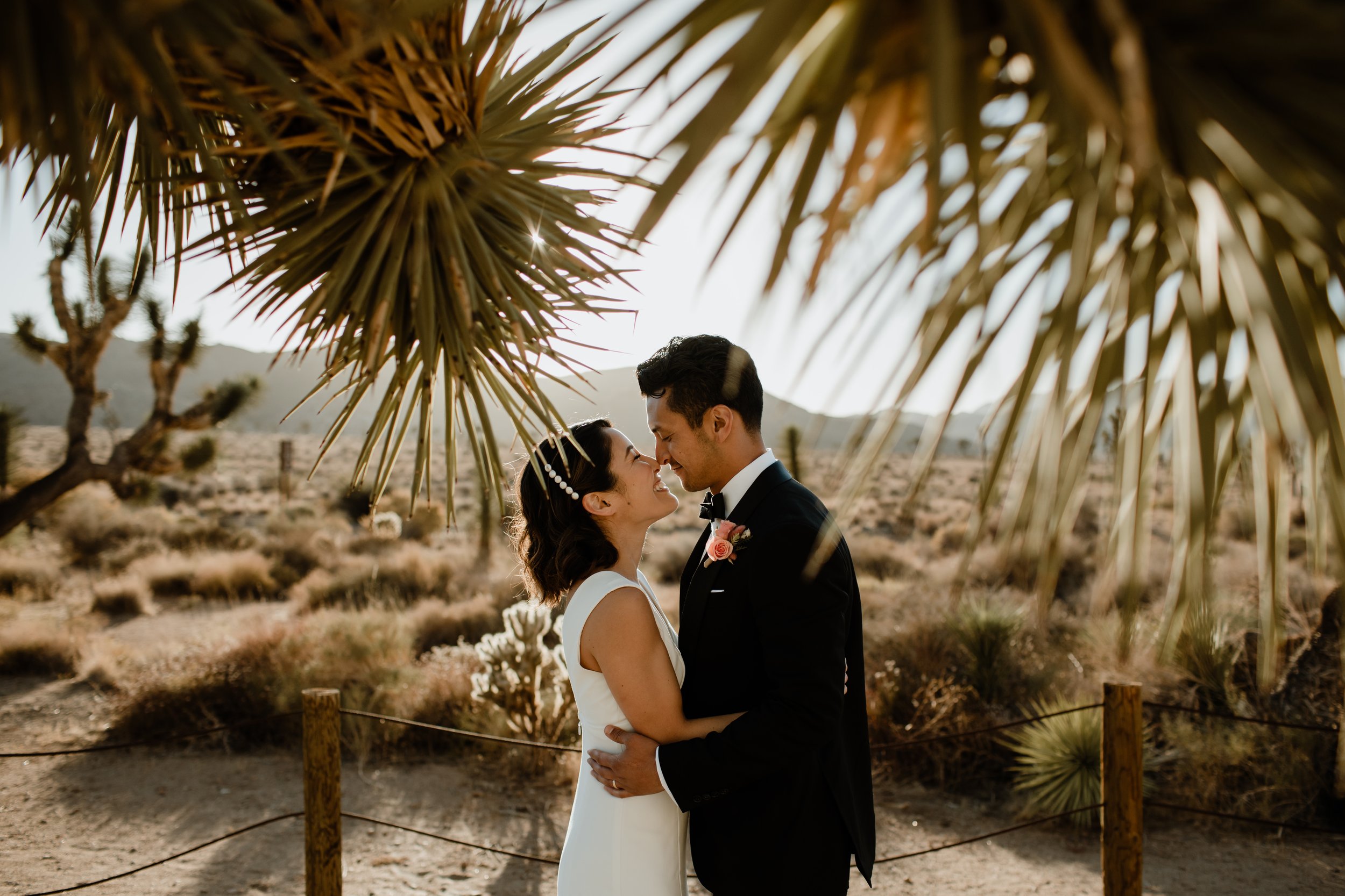  Michelle and Michael Wedding - Joshua Tree Elopement - Eve Rox Photography 