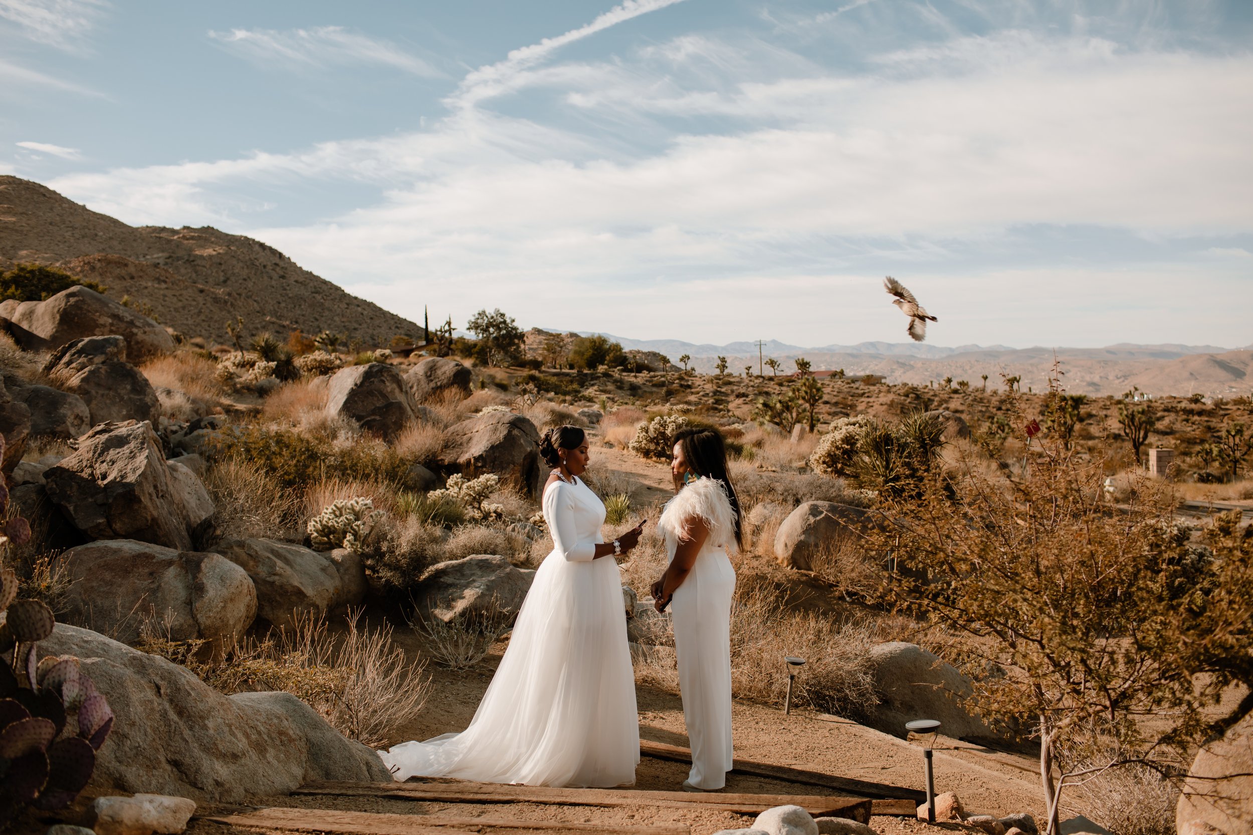  LaFawn and Sherise Elopement in Joshua Tree, CA - Eve Rox Photography 