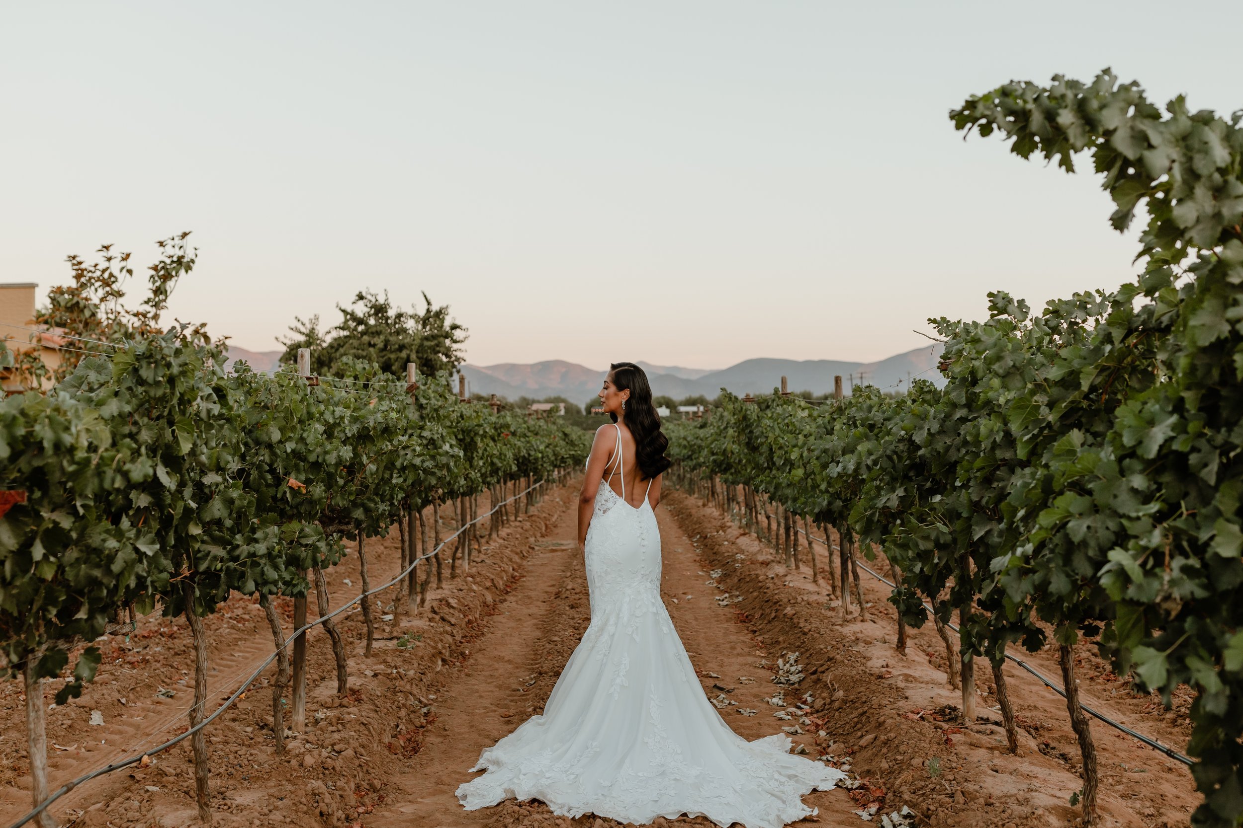  Krystina and Ryan's Wedding in Valle de Guadalupe, Baja, MX - Eve Rox Photography 
