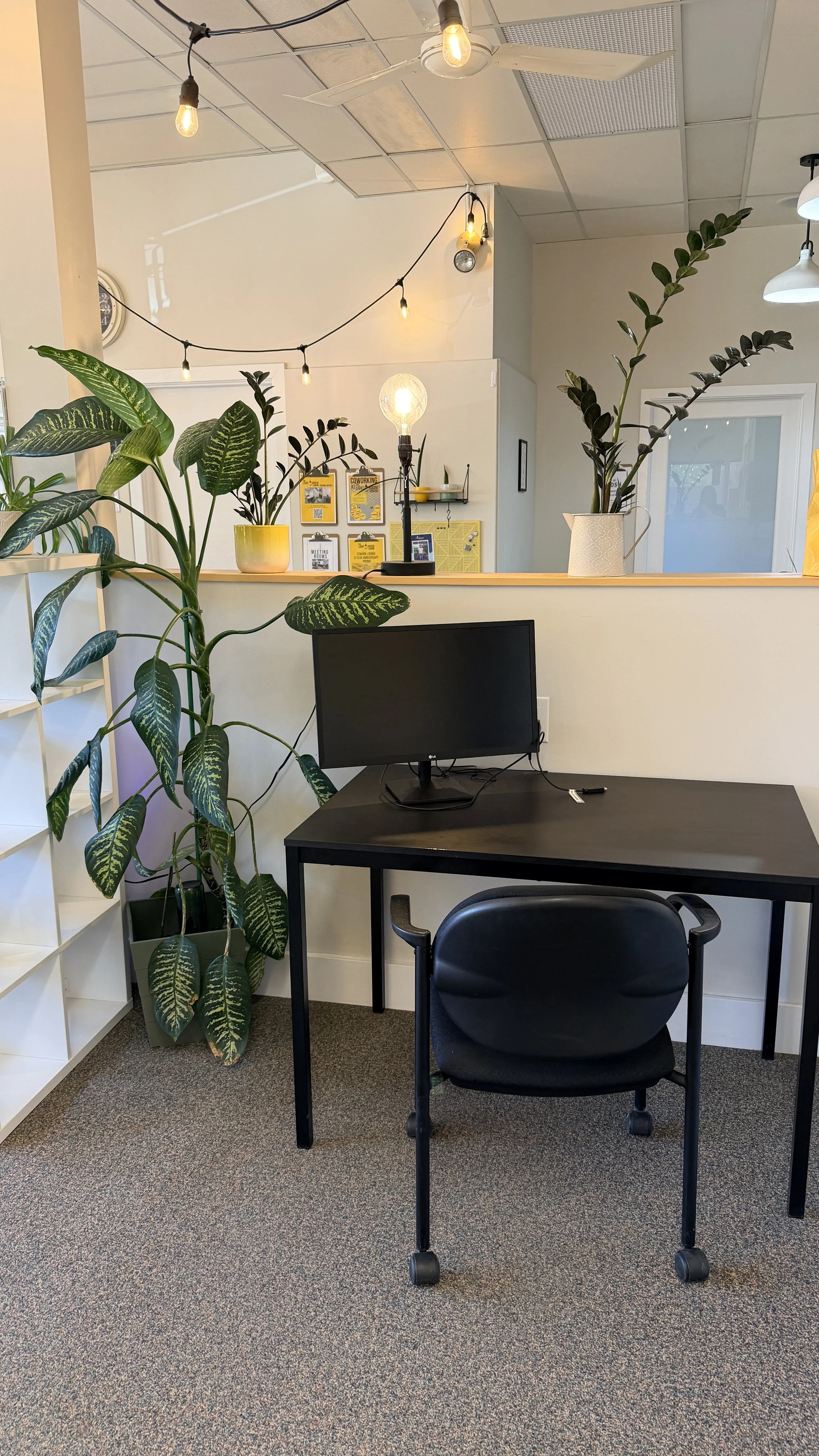 A small office space with a black desk and chair, a monitor, large green houseplants, and various decorative items and lights on the back wall and ceiling.