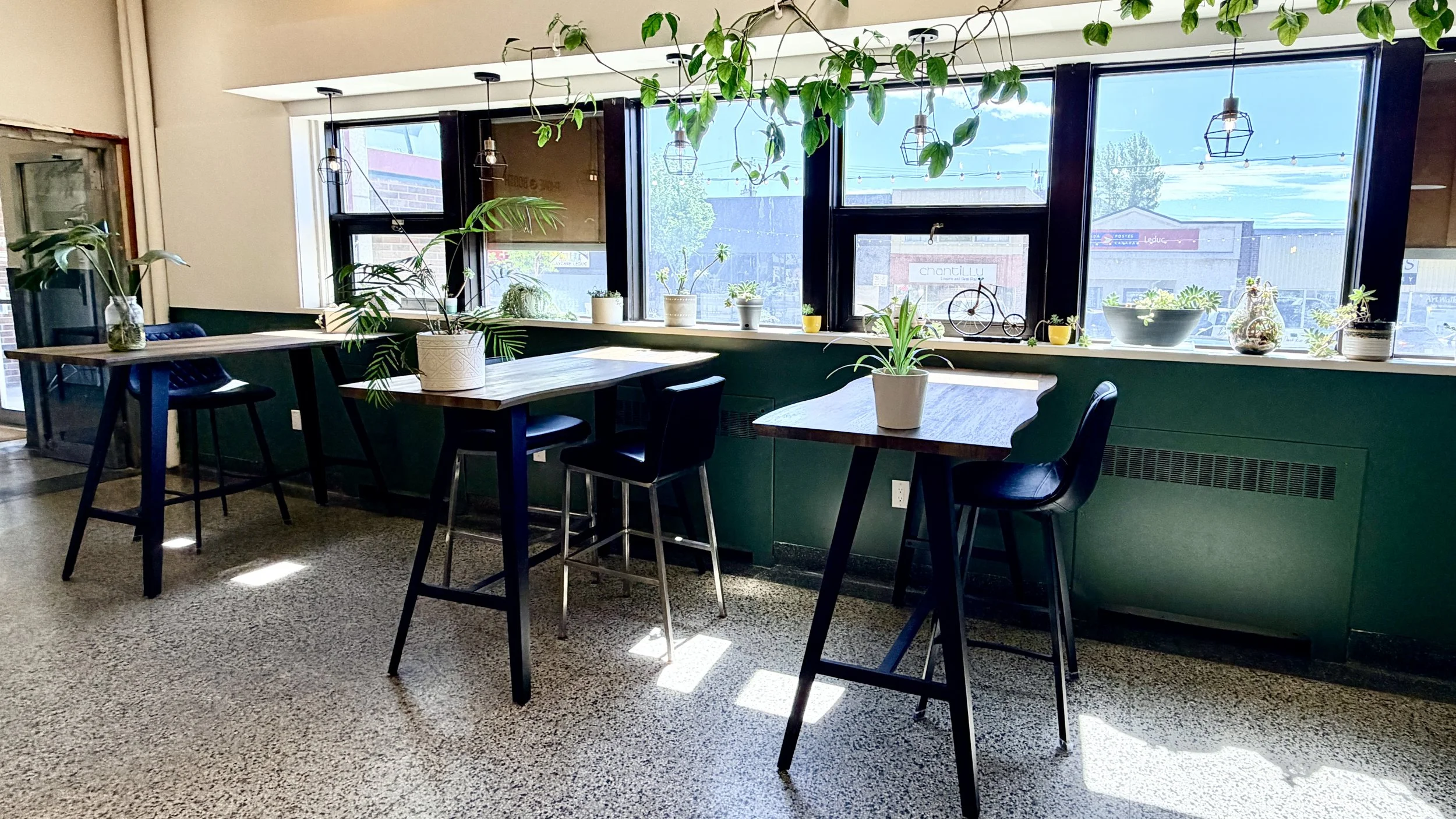 Interior of a cozy cafe with large windows, decorated with green plants on the window sill and ceiling, with wooden tables and black chairs, and natural light streaming in.