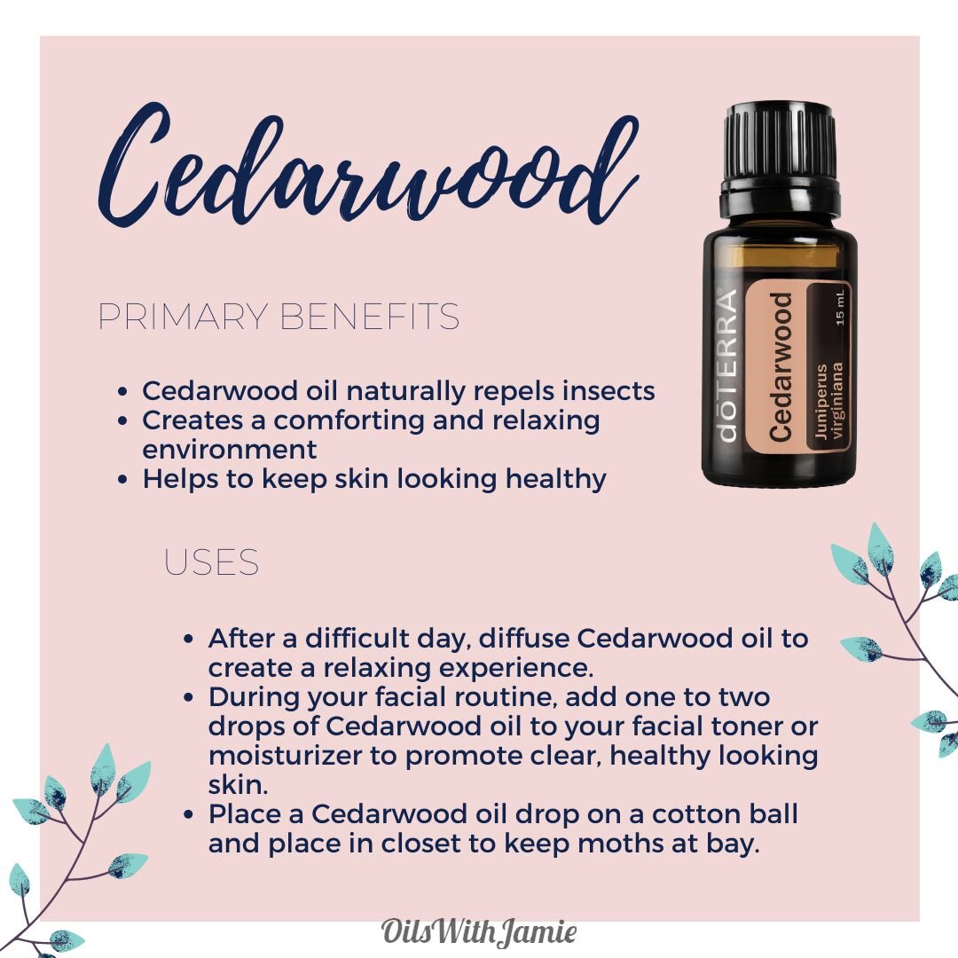 cedarwood benefits and uses-175473.jpg