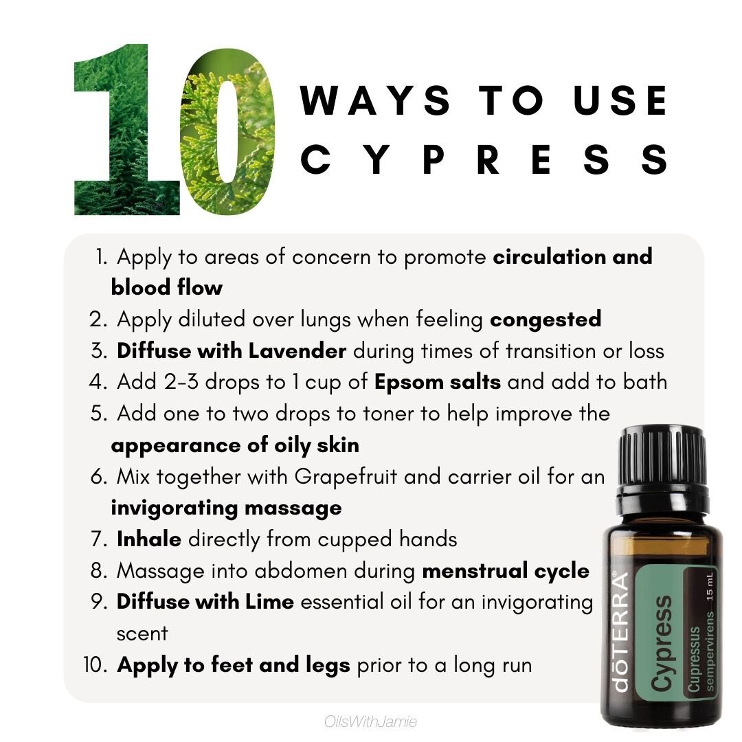 doTERRA Cypress Essential Oil Benefits and How To Use — Colorado