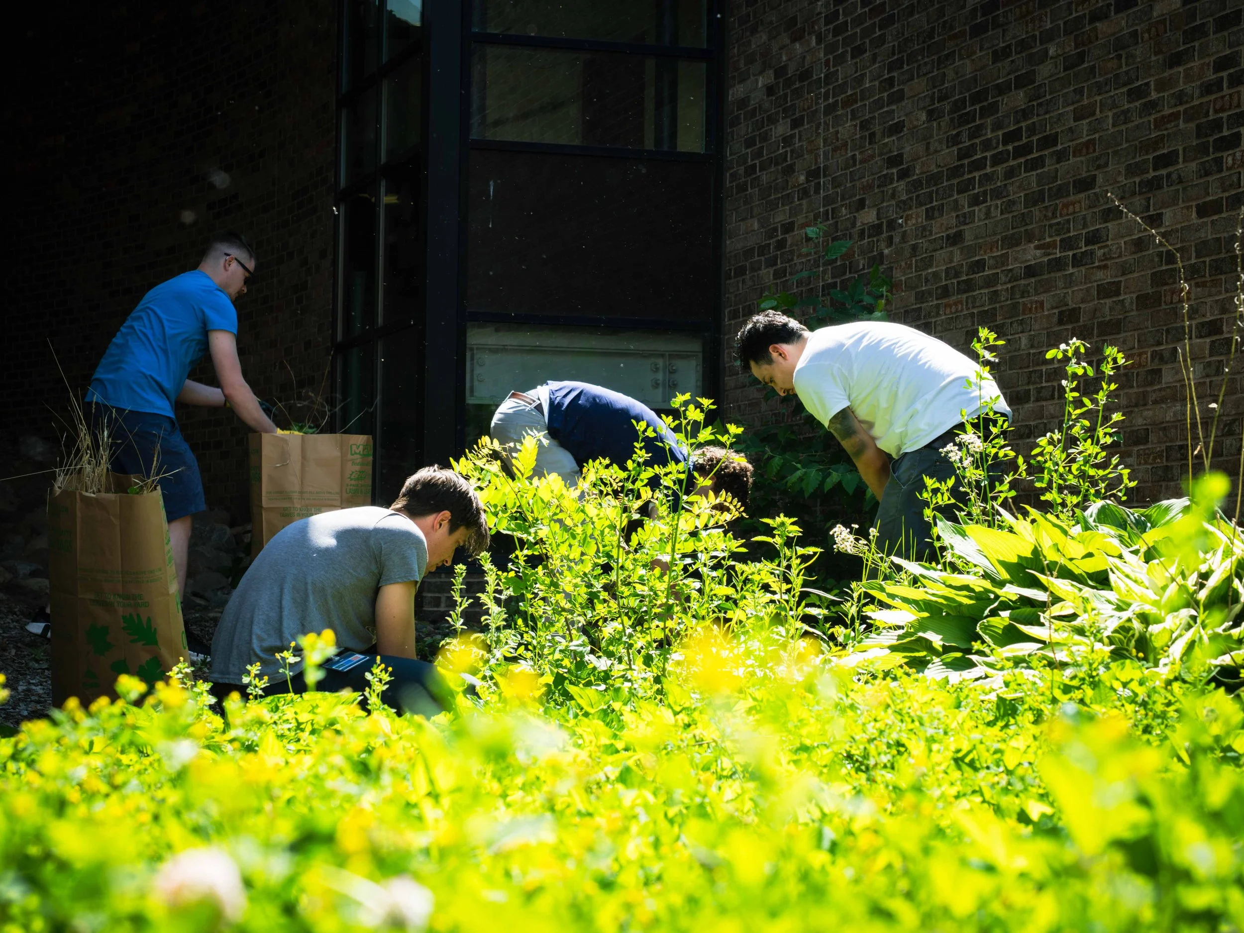 Summer Volunteer Engagement: Turning Survey Insights Into Action&nbsp;