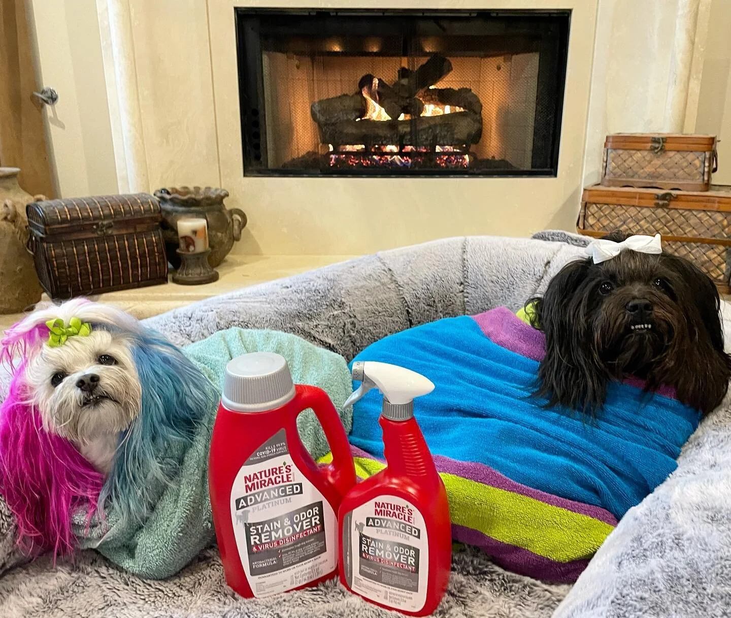 Hey Siri, what&rsquo;s the best product to cleanup with when it&rsquo;s wet and storming in California and you don&rsquo;t want to potty outside and you have an oopsie inside? Asking for a friend 👀 Word on the street is the LA dogs have been struggl