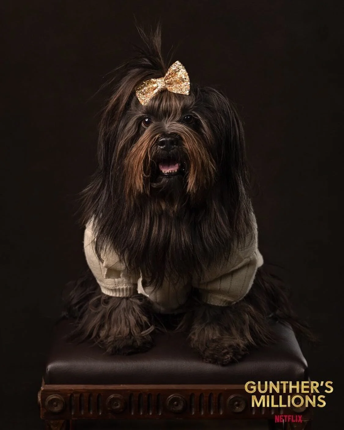 Creating a trust fund for a dog? Cloning a dog?  Both things we consider to be 100% reasonable and have absolutely considered 💯🤔 #GunthersMillions out on Netflix now if you need to know more 🤩😎

Thank you for having us to celebrate your series, #