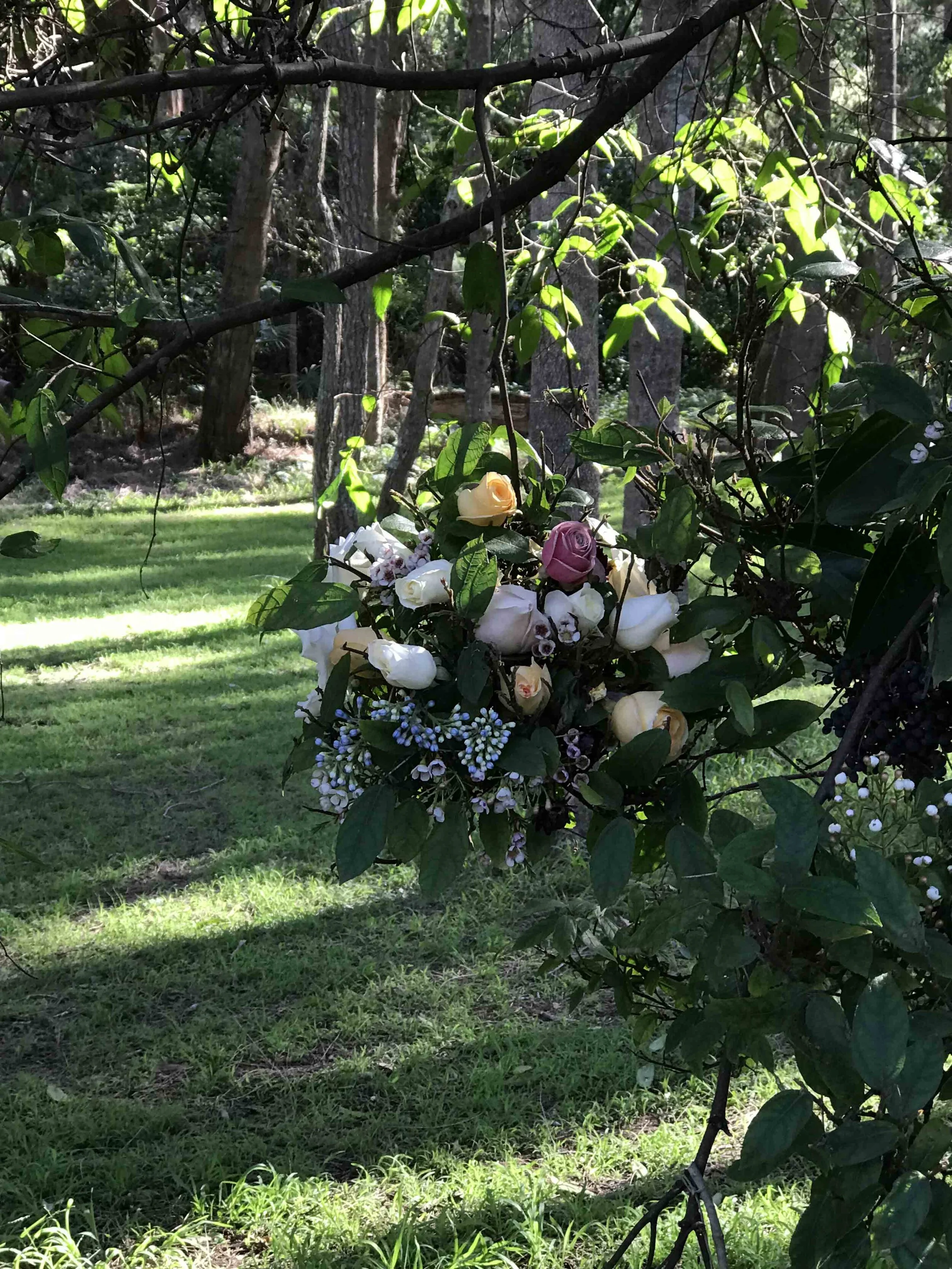 2018-06-26 12.41.36.jpg