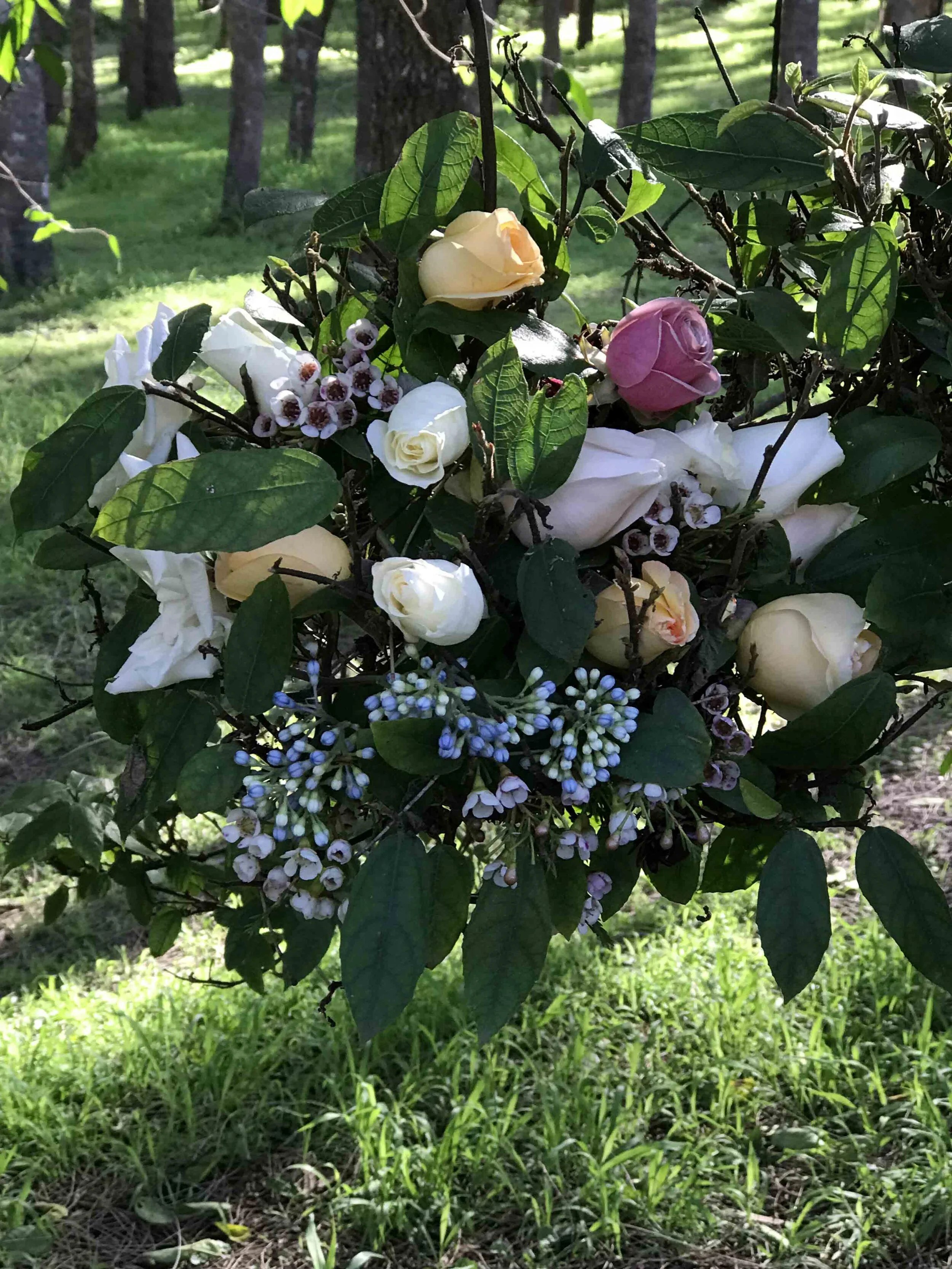 2018-06-26 12.42.22.jpg