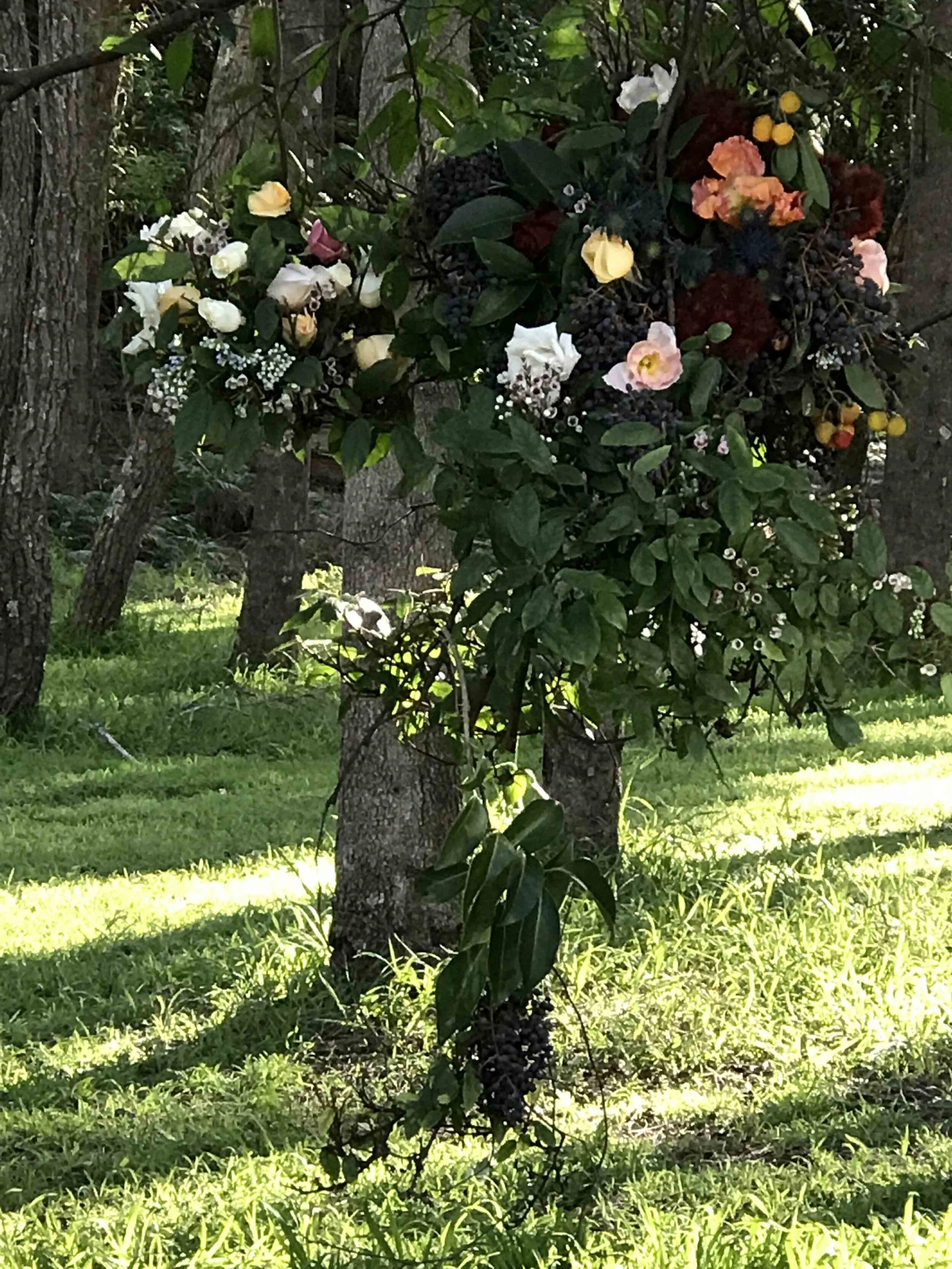 2018-06-26 14.02.24.jpg