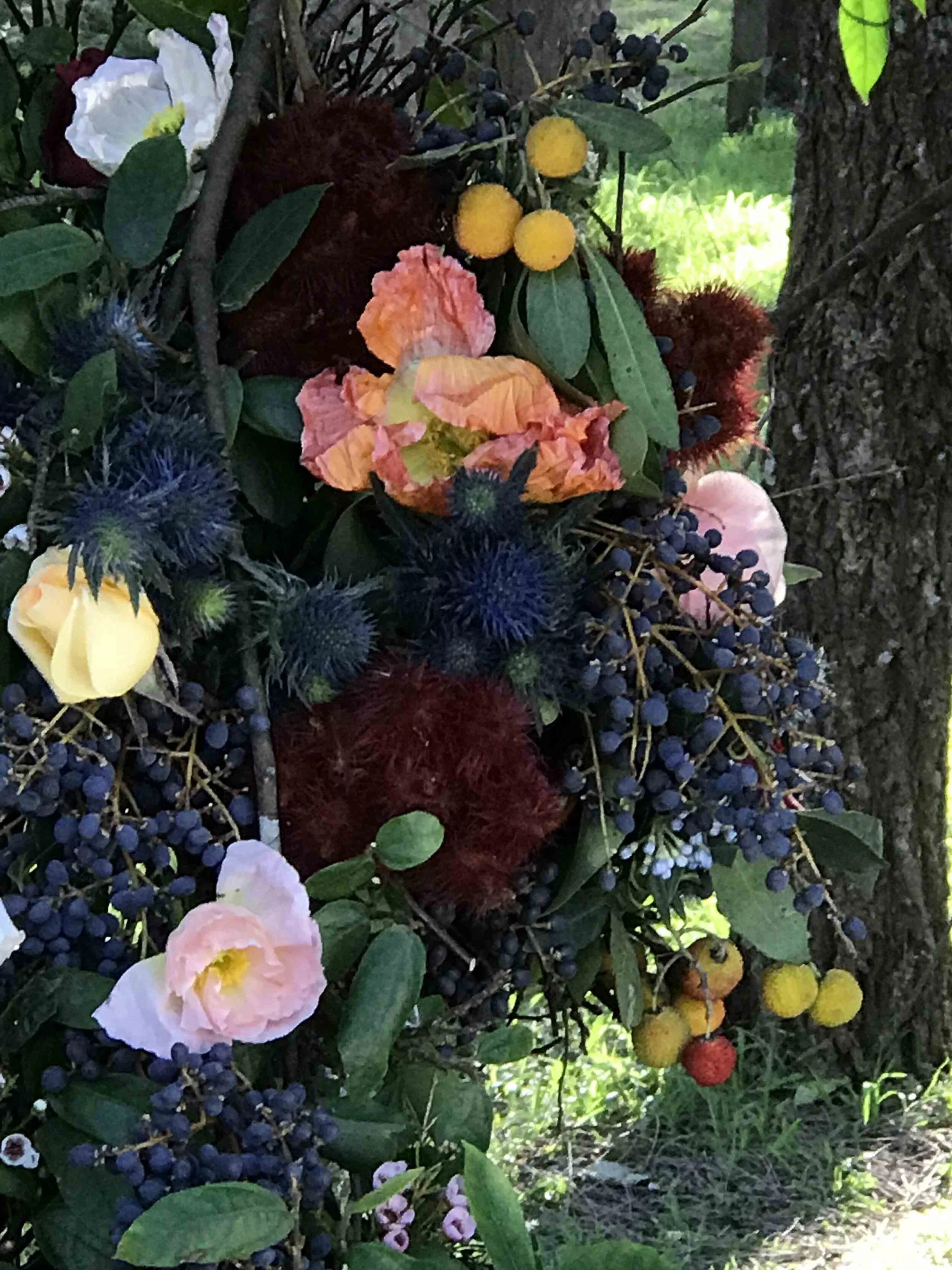 2018-06-26 14.03.24.jpg