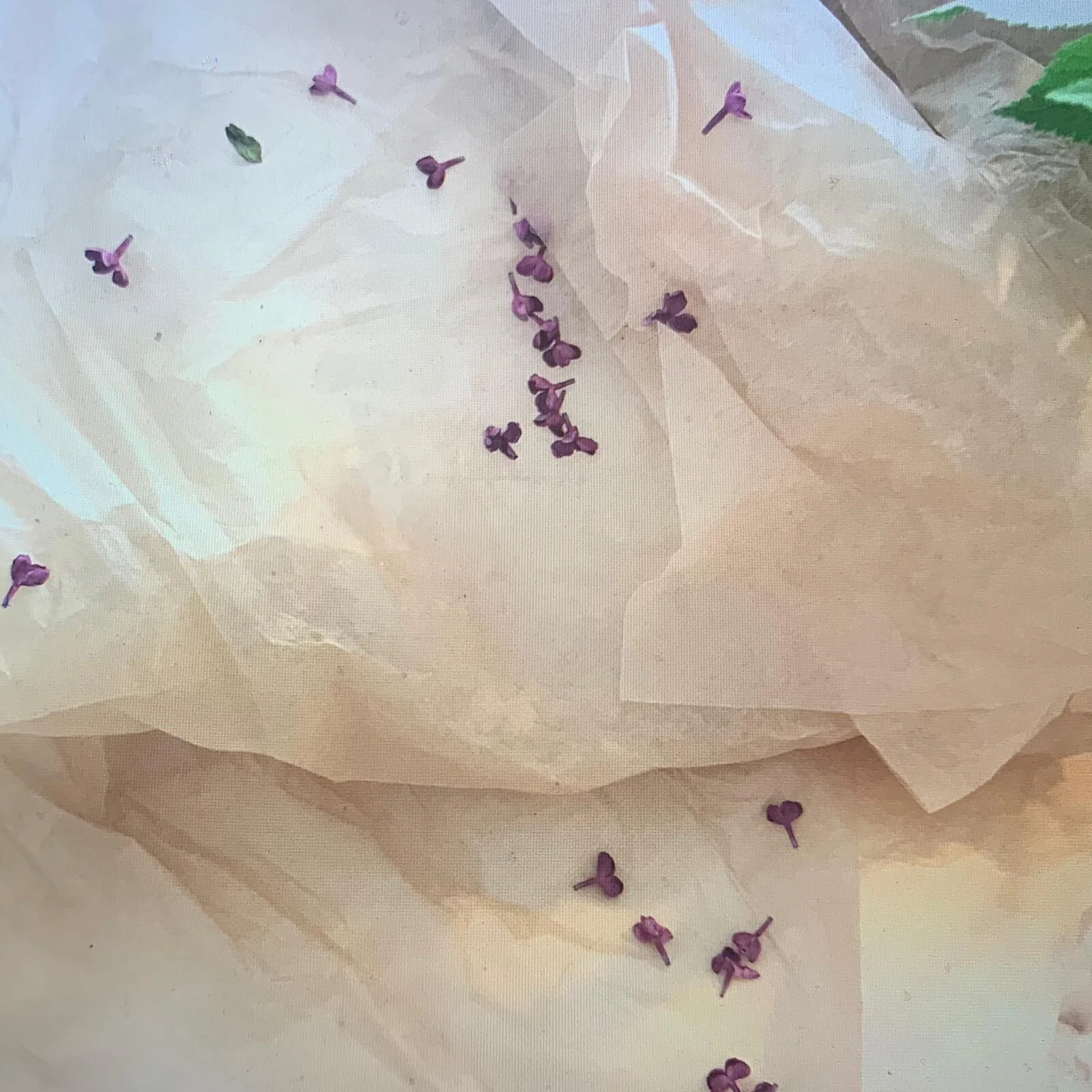 WhatsApp Image 2020-06-01 at 1.31.54 AM.jpeg