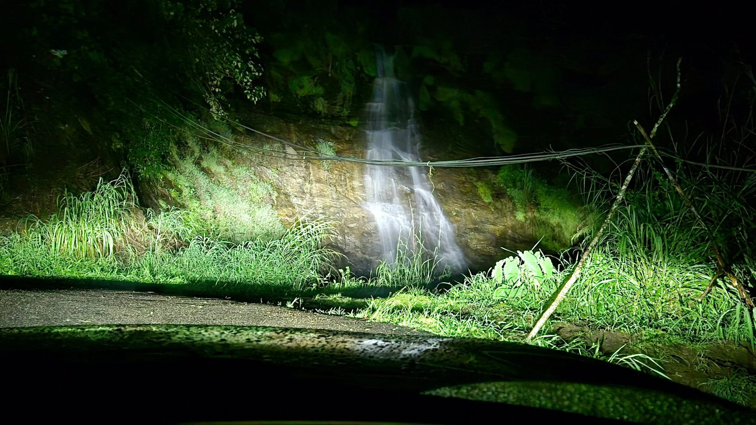 India Travel Munnar Bison Valley