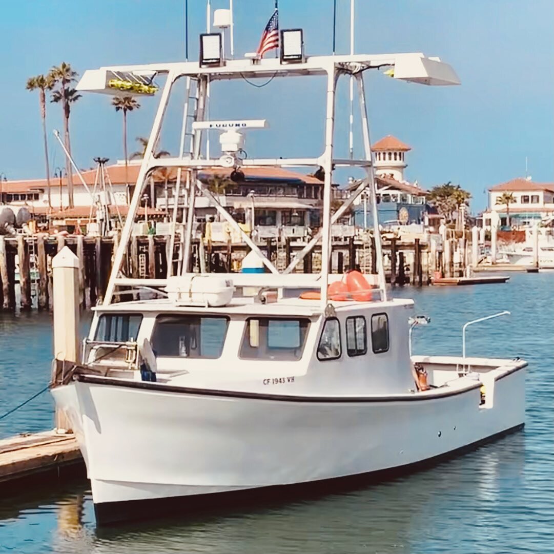 She&rsquo;s close, Swipe for night life🖤🦑

#commercialfishing #eatmoresquid #marineelectrial #systemdesign #marinesystems #dreamsaremadeofplywood #customboats #handbuilt #handbuiltboats #marineservice #radonboats #wilsonboats #channelislandsharbor 