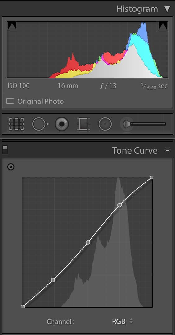 Tropical paradise edit_tone curve panel.png