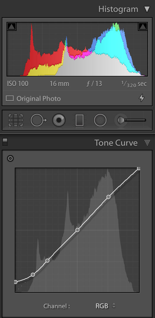 Icy fresh_tone curve panel.png