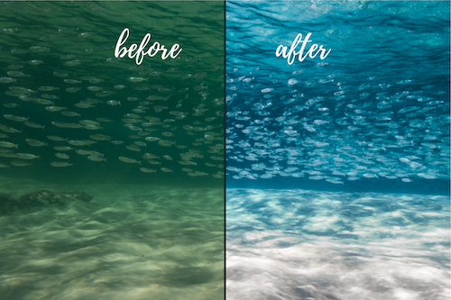 Underwater Lightroom presets before and after Noosa collection-2.png