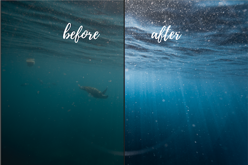 Underwater Lightroom presets before and after Noosa collection-5.png