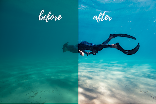 Underwater Lightroom presets before and after Noosa collection-6.png