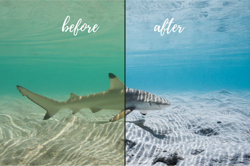 Underwater Lightroom presets before and after Maldives collection-5.png