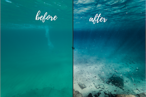 Underwater Lightroom presets before and after Noosa collection-4.png