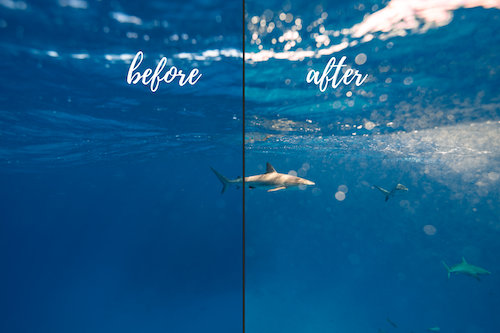 Underwater Lightroom presets before and after Bahamas collection-3.png