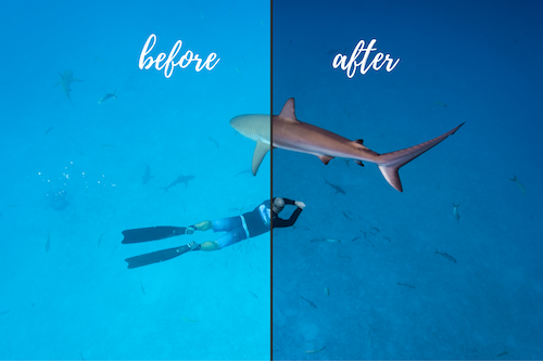 Underwater Lightroom presets before and after Bahamas collection-6.png