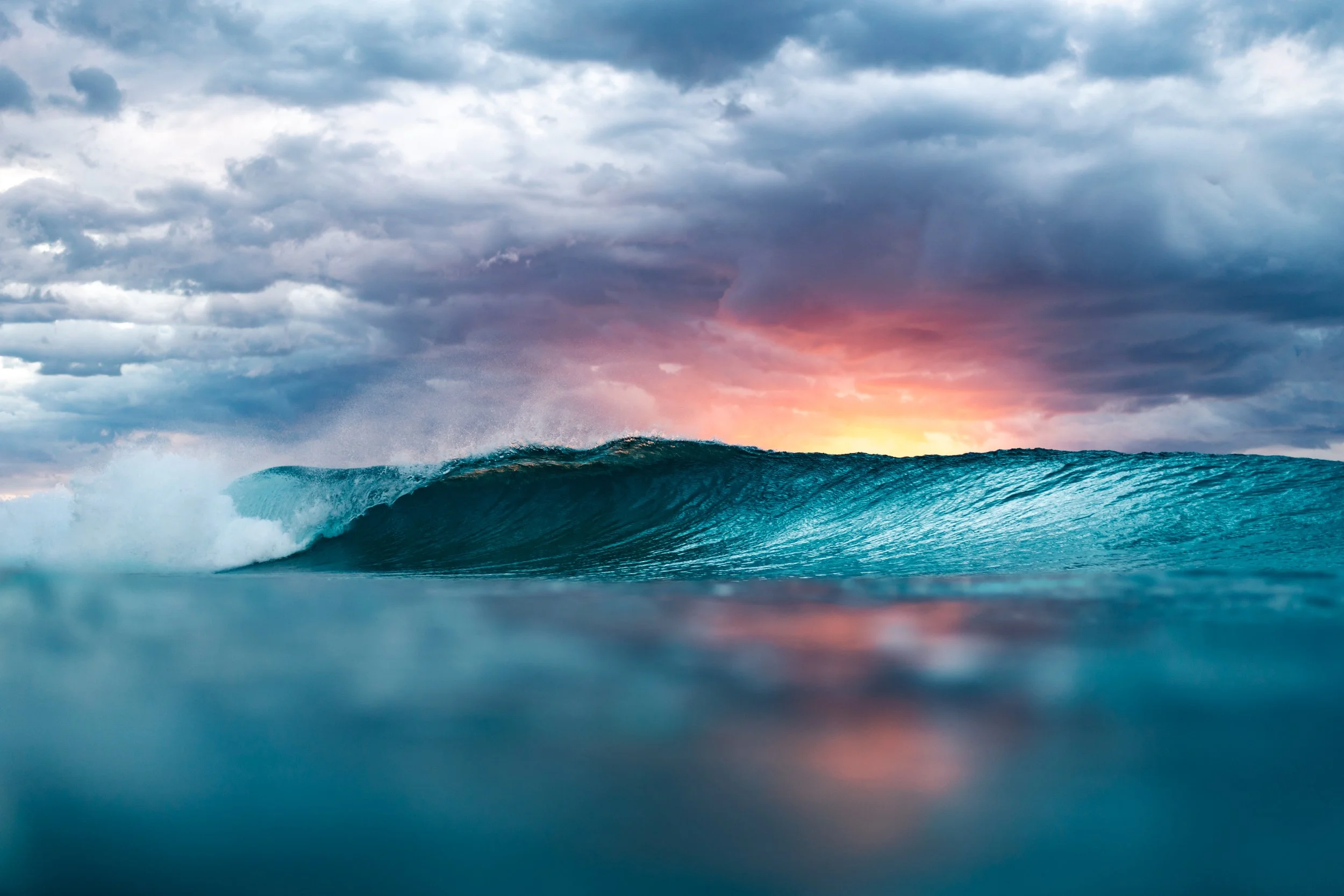 Portfolio-4.jpg