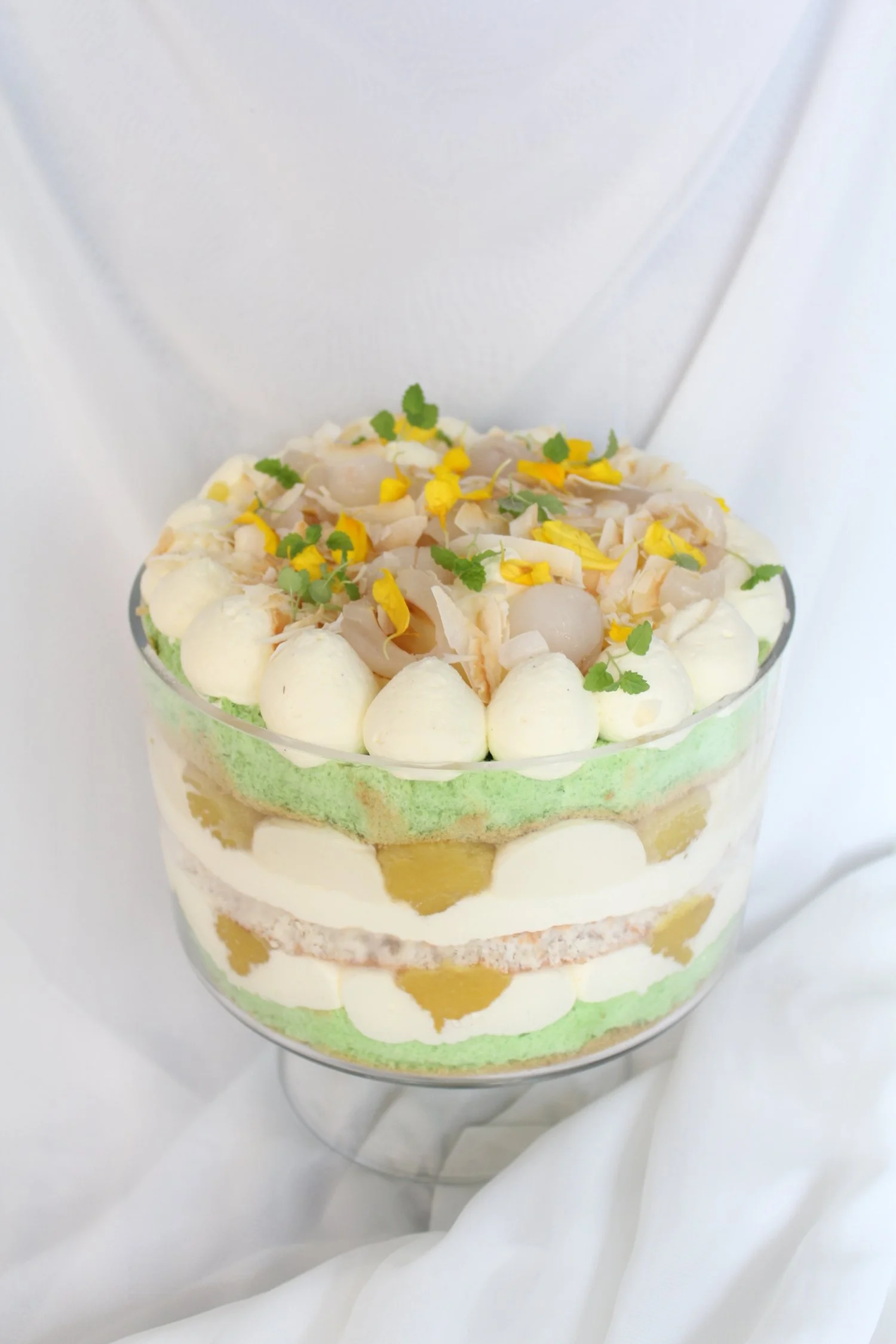 Copy of IMG_4097.JPG