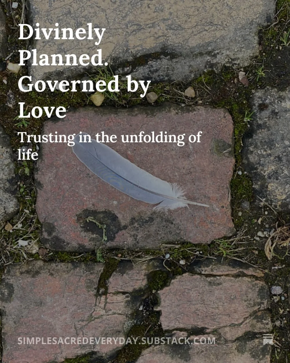 What if life is unfolding around me, just as it needs to.

Divinely planned. 

Governed by Love.

Everything just as it is, and there is nothing I need
to do, fix or know.

Other than relax my body, soften my palms and ask &lsquo;what is deeper than 