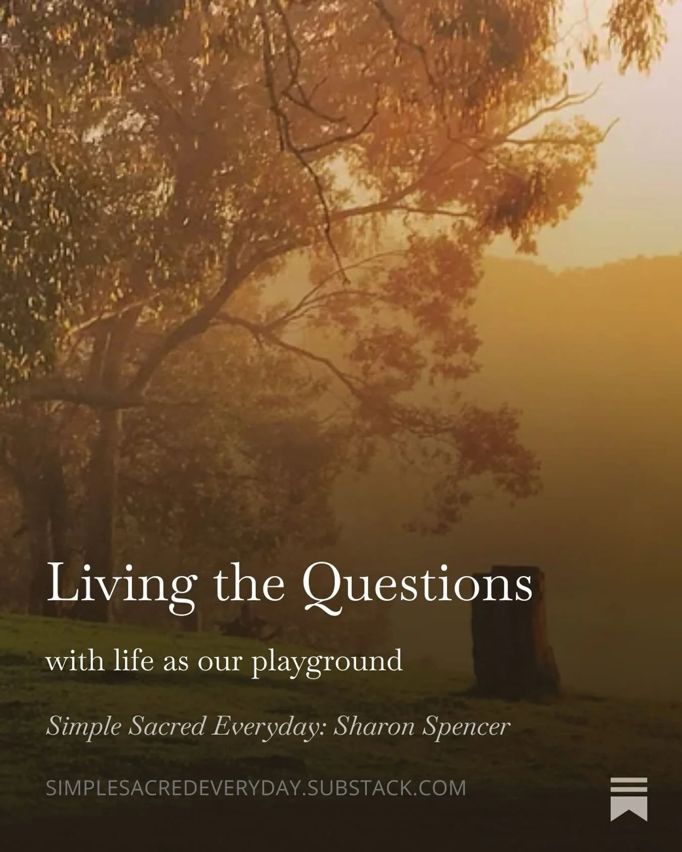 My latest post on Substack.

Because our life is about living the questions.

Link in bio @simple_sacred_everyday 

🧡
.
.
.
#simplesacredeveryday #thequietrevolution #midlifewomen #midlifehealing #embodiedawareness