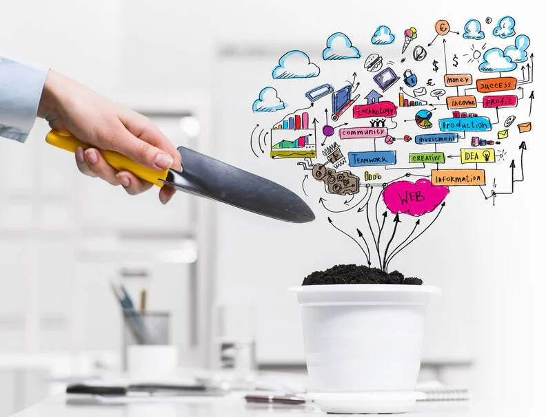 'Top 5' programme management