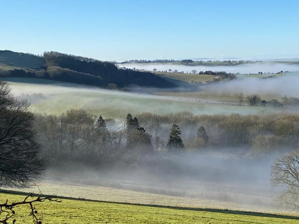 My reflections on the commercial landscape – new challenges, similar solutions 