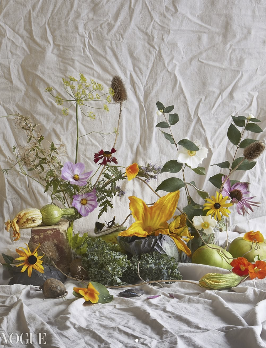 Screenshot 2026-02-24 at 13.11.09.png