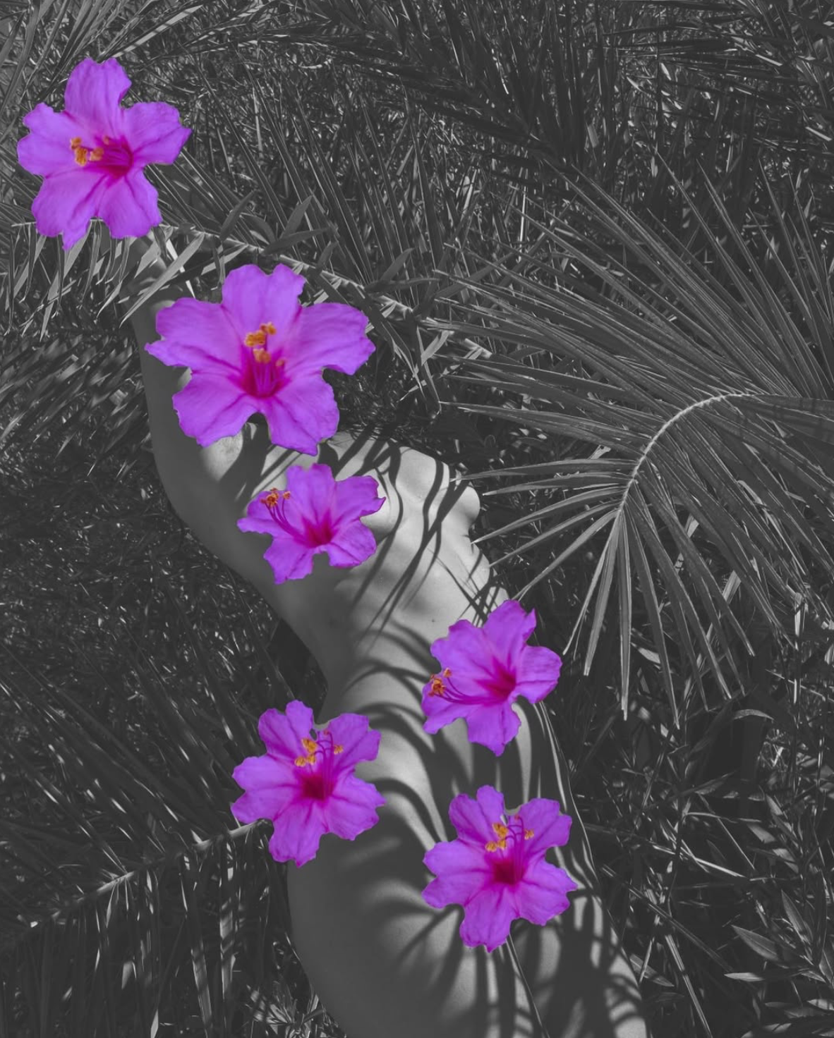 Screenshot 2026-01-19 at 14.02.27.png