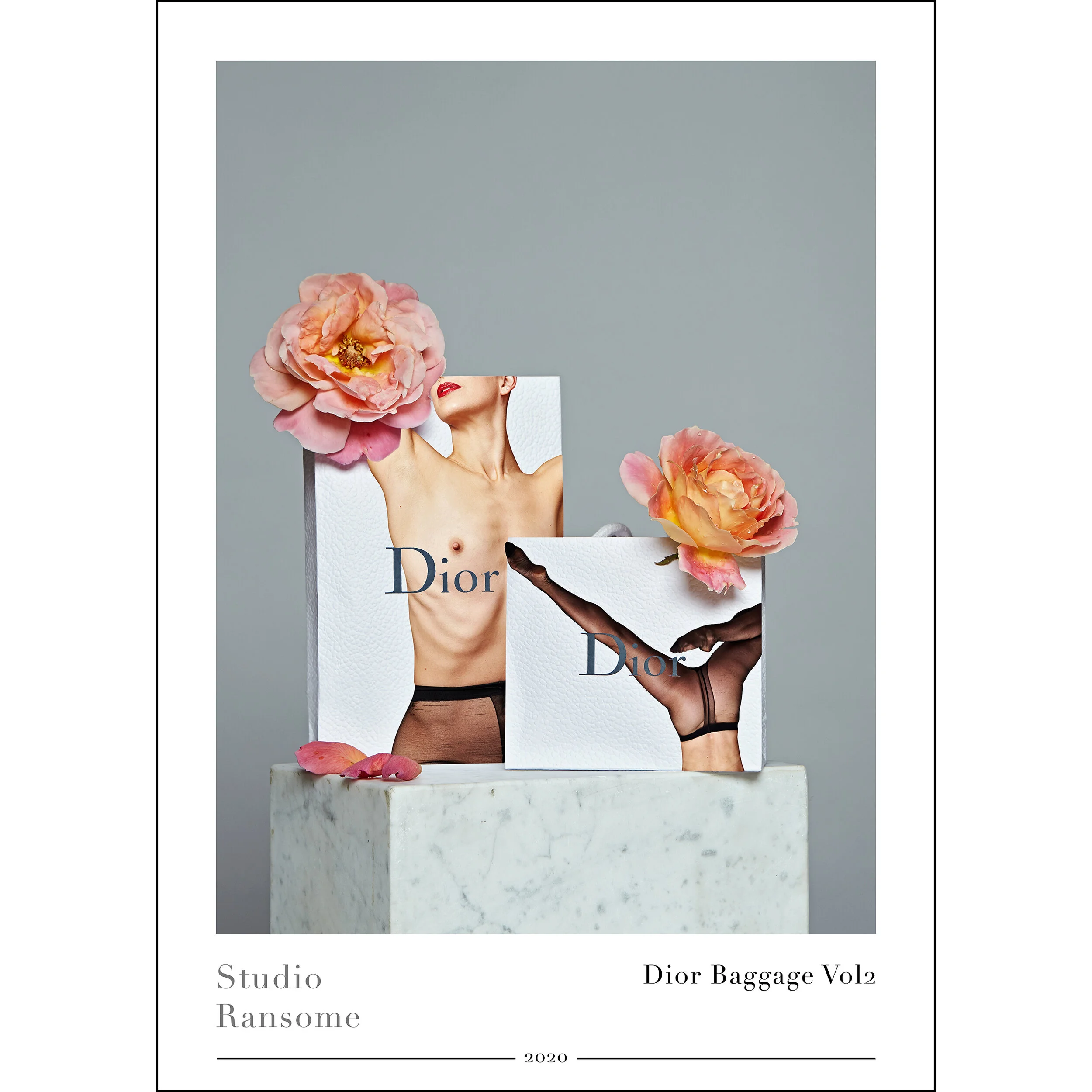Dior Baggage Vol2