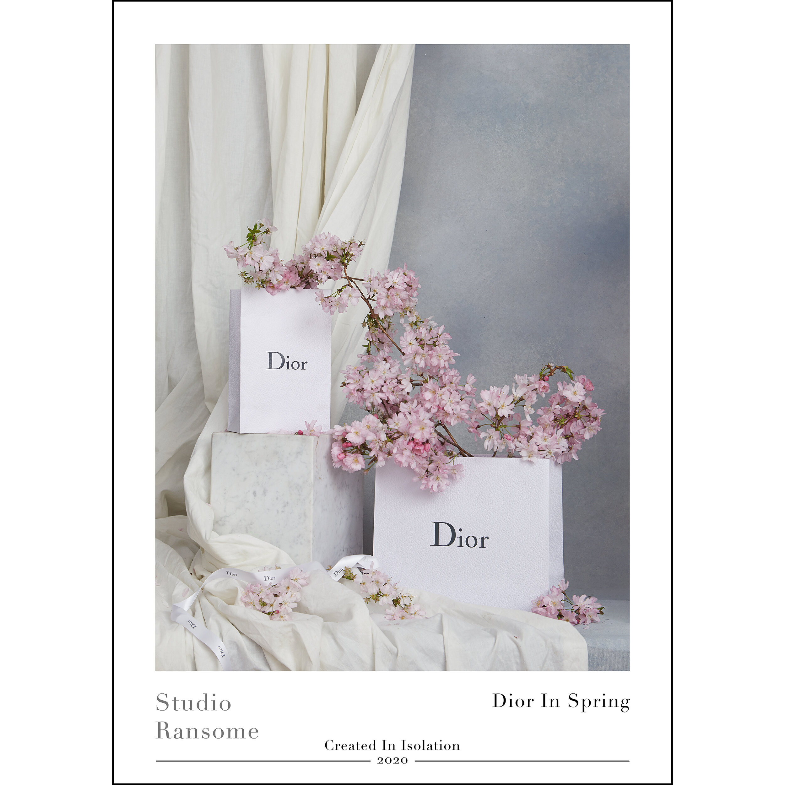 StudioRansom_Poster_DiorInSpring_24x17_IsolationAddition.jpg