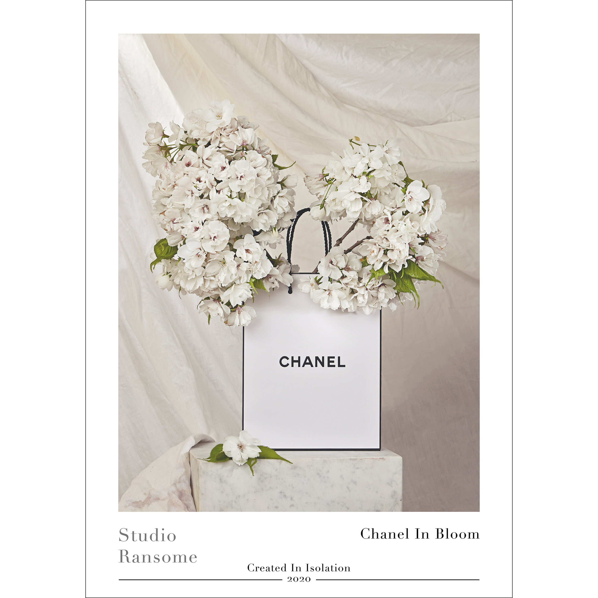 Chanel In Bloom
