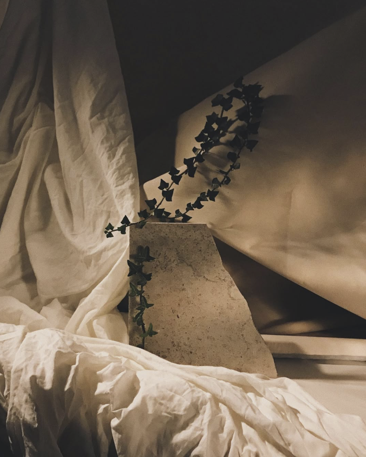 Screenshot 2026-01-19 at 14.14.59.png