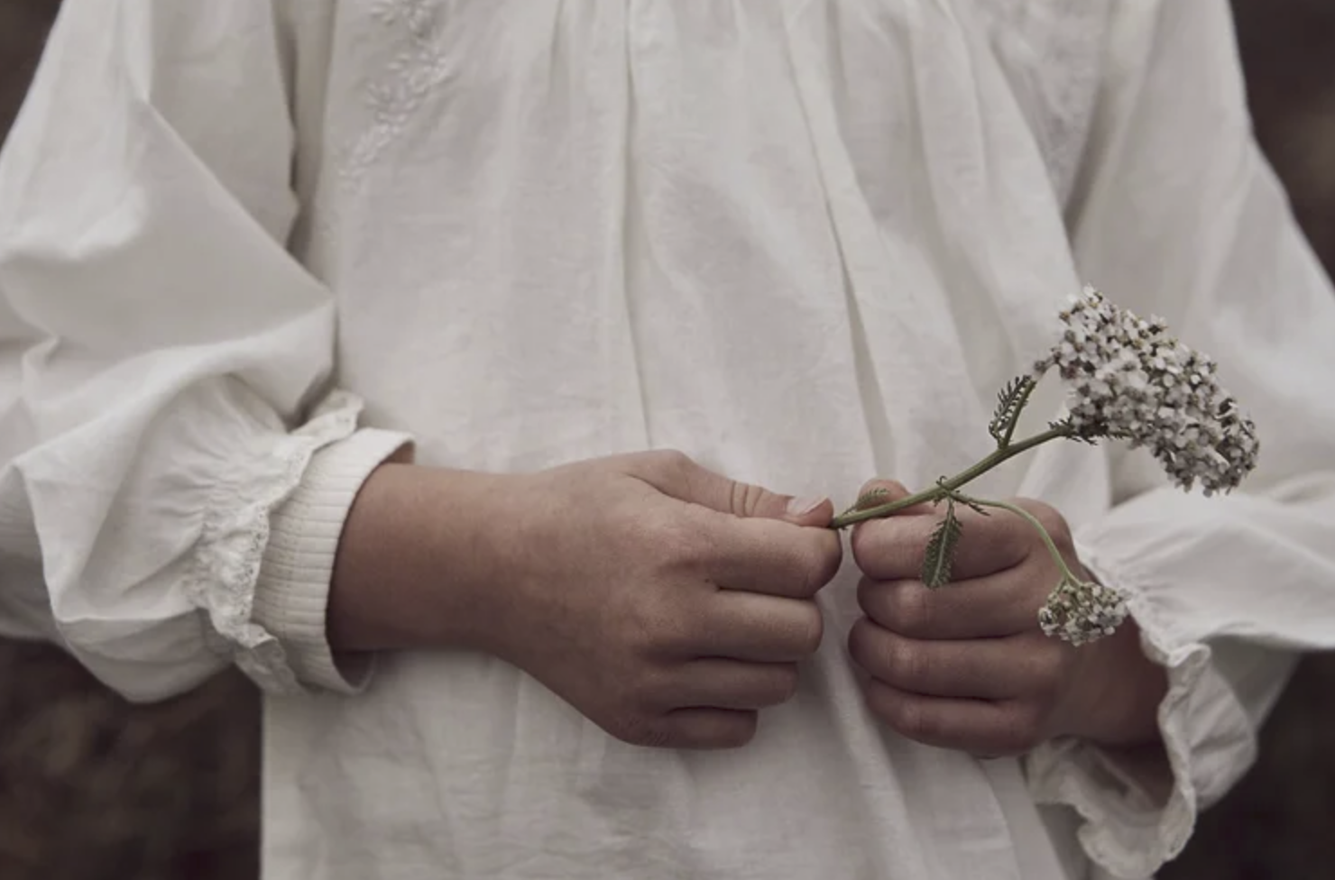 Screenshot 2026-01-19 at 14.27.11.png