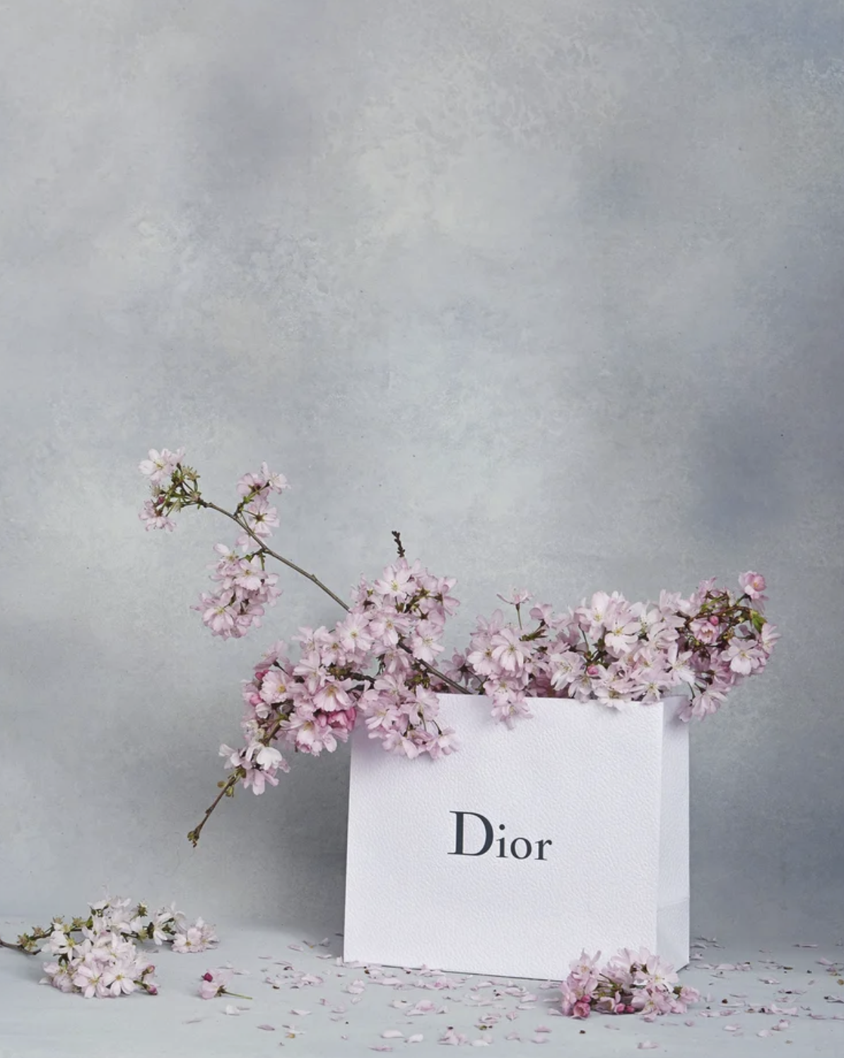 Screenshot 2026-01-21 at 16.01.15.png