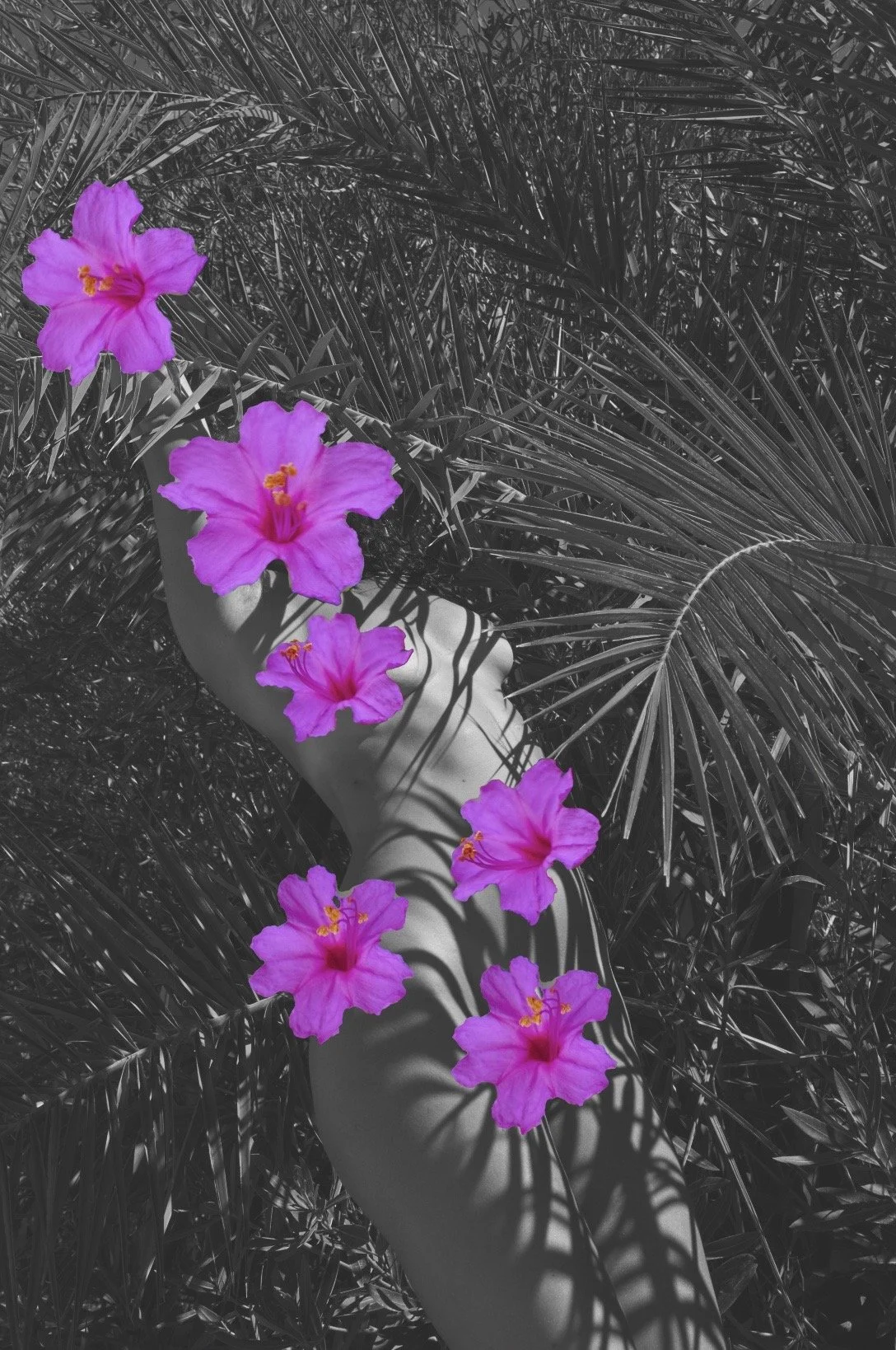 Image 08-11-2023 at 13.46.JPG