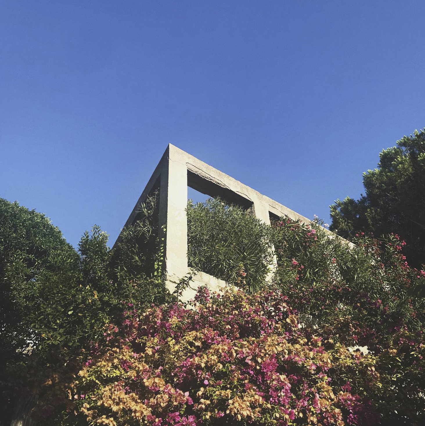 Mav vs nature ongoing study 