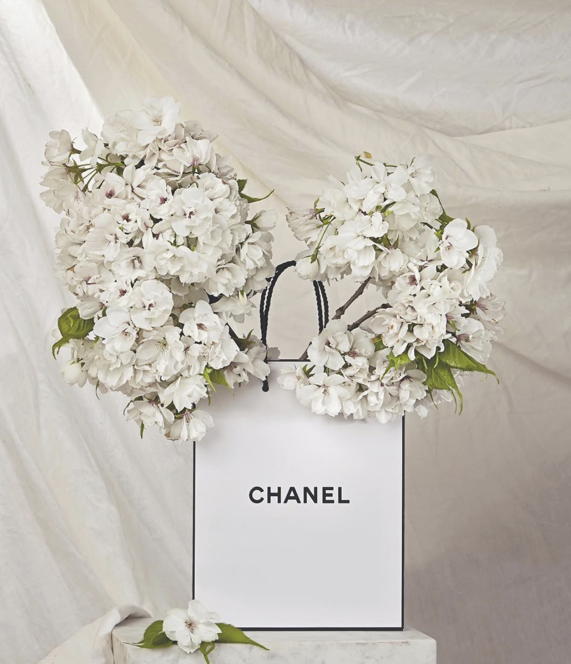 Screenshot 2026-01-19 at 14.14.41.png