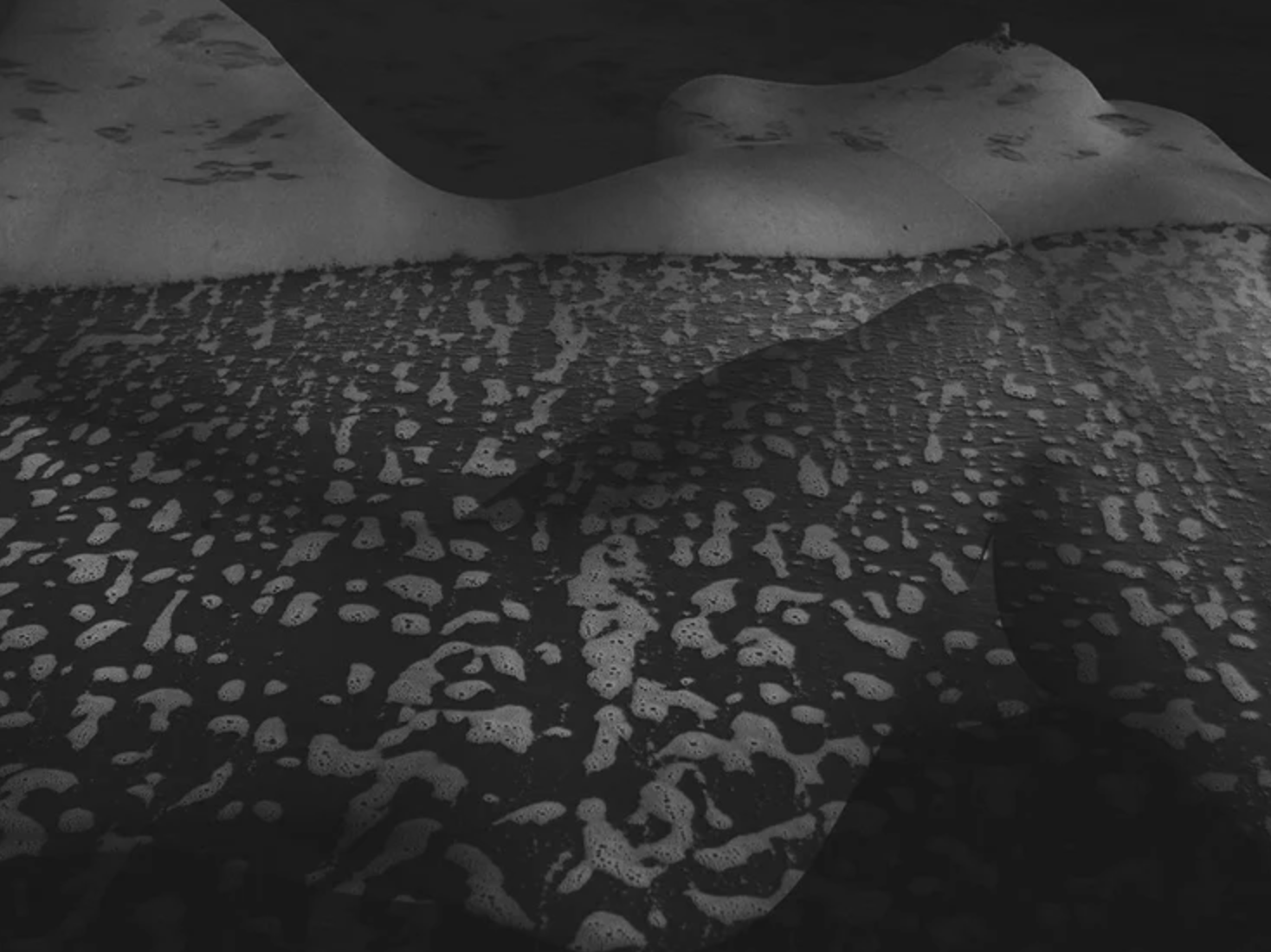 Screenshot 2026-01-21 at 16.01.08.png