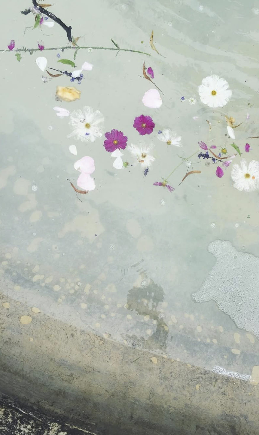 Screenshot 2026-01-19 at 14.14.20.png