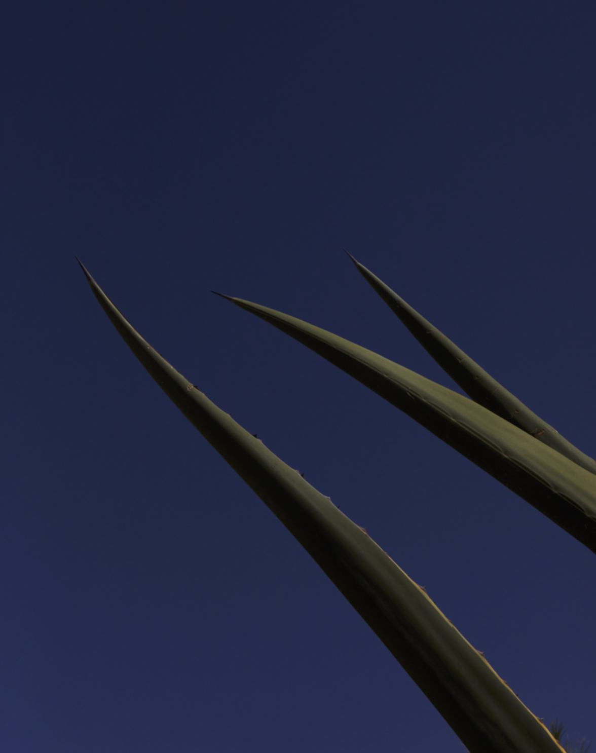 Screenshot 2026-09-22 at 14.27.31.png